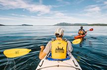 San Juan Island 3 Day Kayaking Tour