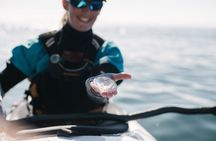 Half Day Kayak Tour on San Juan Island