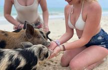 Swim with Pigs and Skis Tour Experience