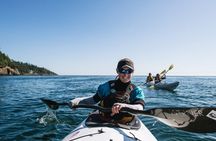 Full Day Kayak Tour in San Juan Island
