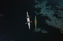 Full Day Kayak Tour in San Juan Island