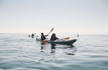 Full Day Kayak Tour in San Juan Island