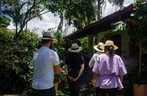 Visit to Finca Cafetera From Seed to Cup