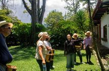 Visit to Finca Cafetera From Seed to Cup
