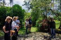 Visit to Finca Cafetera From Seed to Cup