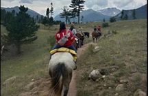 Scenic 2 Hour Horseback Ride in Rocky Mountain National Park