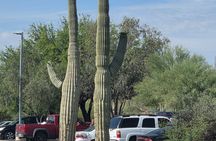 City of Tucson Tour