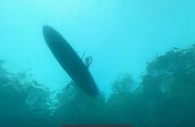 Rainbow River: Guided Snorkel Tour - Paddleboard