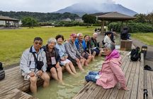 Kagoshima Customized Private Tour in 1 Day with Licensed Guide