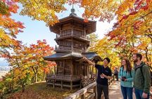 Aizu 6hr Private Tour with Government-Licensed Guide