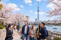 Tokyo Instagram Spots Customized Tour with Licensed Guide