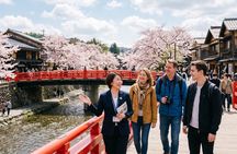 Takayama Half-Day Private Tour with Government Licensed Guide