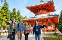 Mt. Koya Sacred Sites Half-Day Tour with Licensed Guide