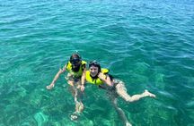 Bluefinn242 Small-Group Snorkeling Experience at Sea Garden