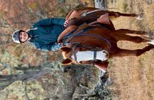 Half Day Horse Connection Experience near Puerto Natales