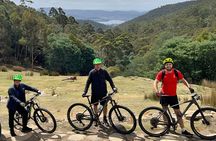 Mt Wellington Rainforest Self Guided Off Road Bike Adventure
