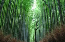 Kyoto Customized Tour with Guide - Explore the City in One Day