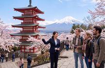 Mt. Fuji Five Lakes Customized Tour with Licensed Guide