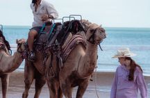 Darwin: Beach Camel Ride at Mindil Beach