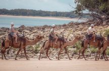 Darwin: Beach Camel Ride at Mindil Beach