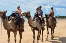 Darwin: Beach Camel Ride at Mindil Beach