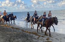 Horseback Riding Adventure in Punta Cana