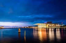 Copenhagen Private Night Tour and City Lights Ride