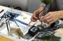 Asakusa Art of Zero Care Bonsai Authentic Crafting