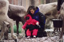 Arctic Reindeer Hike Experience - Rovaniemi