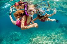 Roatan private Snorkeling Tour: Monkeys,Sloths & Beach Break