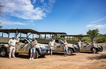 Full Day Kruger Safari including Entrance Fees