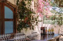Cretan Wine Tasting