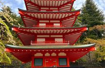 Mt Fuji Private Tour from Tokyo, Licensed (Customizable)