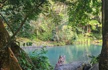 Fully Private Rainforest & Beach Tour + Boogieboarding Experience