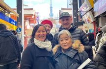 4-6hrs Custom Private Tokyo Tour(Must-see places in 1 day)