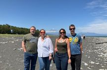 Shimizu Shore Excursion: Mt. Fuji View Tour, Licensed Guide