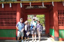 Shimizu Shore Excursion: Mt. Fuji View Tour, Licensed Guide
