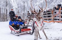 Arctic Combo, Huskies & Reindeer - Rovaniemi