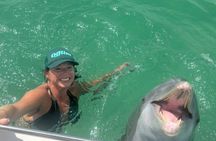 2 Hour Private Panama City Beach Dolphin Tour