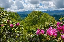 Private Boutique Blue Ridge Parkway Full Day Tour