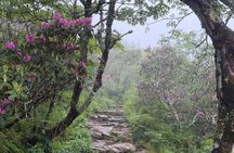 Private Boutique Blue Ridge Parkway Full Day Tour