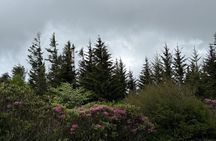 Private Boutique Blue Ridge Parkway Full Day Tour