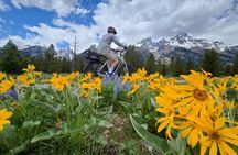 Scenic Wildlife Adventure in Grand Teton by E Bike
