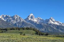 Scenic Wildlife Adventure in Grand Teton by E Bike