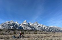 Scenic Wildlife Adventure in Grand Teton by E Bike