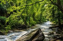 Carolina Waterfalls and Highlands Private VIP Boutique Tour