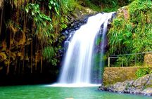 Half Day Tour: Annandale Waterfall, Spices, Grand Etang w/ Lunch
