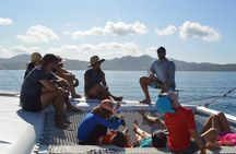 Whale Watching by sailing catamaran from Noumea