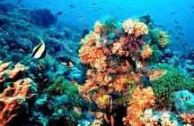 Tour Privado en Barco en Puerto Morelos con Almuerzo Incluido
