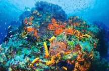 Tour Privado en Barco en Puerto Morelos con Almuerzo Incluido